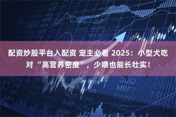 配资炒股平台入配资 宠主必看 2025：小型犬吃对 “高营养密度”，少喂也能长壮实！