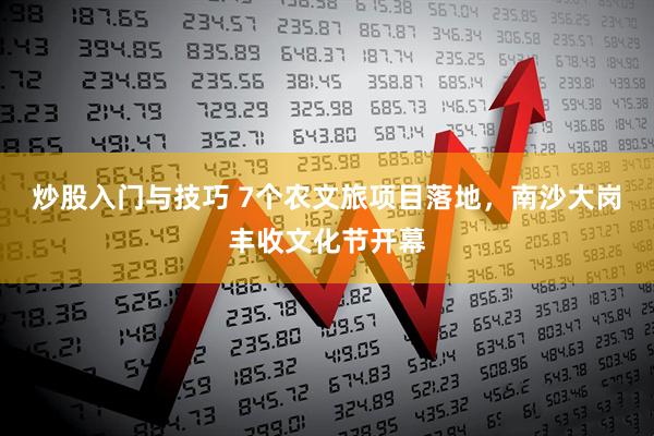 炒股入门与技巧 7个农文旅项目落地，南沙大岗丰收文化节开幕