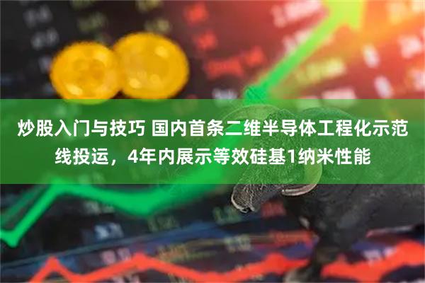 炒股入门与技巧 国内首条二维半导体工程化示范线投运，4年内展示等效硅基1纳米性能