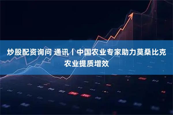 炒股配资询问 通讯丨中国农业专家助力莫桑比克农业提质增效